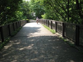 桜ヶ丘公園入口の橋