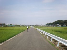 田んぼの中の一本道