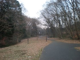桜ヶ丘公園内の坂道