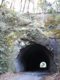 峠のトンネル
