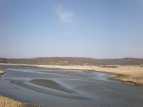 142号線横の川と湿地帯