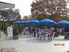 2016年11月クラブラン　昭和記念公園K 10