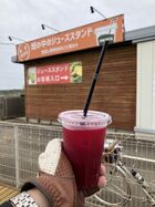 2025年4月 手賀沼牛久沼うな重ラン 18