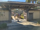 2026年2月吾妻山公園曽我梅林 03