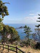 2026年3月湯河原梅林 09