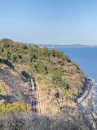 2026年3月湯河原梅林 11