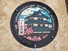 2026年4月吉高の大桜&佐倉 16