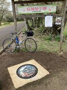 2026年4月吉高の大桜&佐倉 17