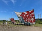 2026年5月相模の大凧祭り 2